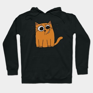 Funny Orange Cat Hoodie